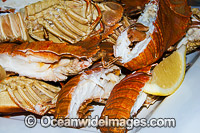 Balmain Bug Seafood dish. Restaurant in Australia