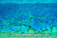 Aerial view of Wistari Reef lagoon. Wistari Reef is located near the Tropic of Capricorn in the southern Great Barrier Reef, Australia, and part of the Capricorn group of reefs.