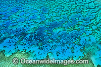 Aerial view of Wistari Reef lagoon. Wistari Reef is located near the Tropic of Capricorn in the southern Great Barrier Reef, Australia, and part of the Capricorn group of reefs.