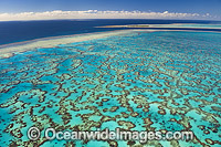 Aerial view of Wistari Reef Lagoon, with Heron Island Reef in the distance. Southern Great Barrier Reef, Queensland, Australia.