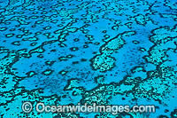 Aerial view showing detail of Wistari Reef Lagoon. Southern Great Barrier Reef, Queensland, Australia.