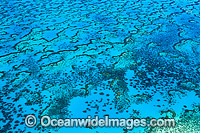 Aerial view showing detail of Wistari Reef Lagoon. Southern Great Barrier Reef, Queensland, Australia.
