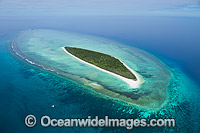 Aerial view of Masthead Island Reef. Capricorn Group, southern Great Barrier Reef, Qld, Australia.