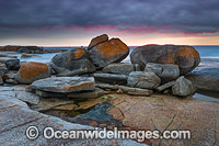 Lichen covered granite coast during pre-dawn sunrise. Bicheno, Tasmania, Australia.