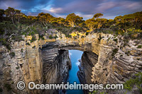 Tasmans Arch. Named after the roof of a large sea cave situated in the Tasman National Park on the Tasman peninsula, Tasmania, Australia.