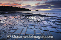 Tessellated Pavement, during pre-dawn sunrise. This natural rock pavement bears this name because it is fractured into polygonal blocks that resemble tiles of a mosaic floor. Eaglehawk Neck, Tasman Peninsula, Tasmania, Australia.
