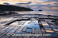 Tessellated Pavement, during pre-dawn sunrise. This natural rock pavement bears this name because it is fractured into polygonal blocks that resemble tiles of a mosaic floor. Eaglehawk Neck, Tasman Peninsula, Tasmania, Australia.