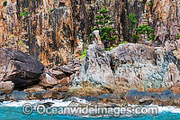 Spectacular rocky coastline at Hayman Island, Whitsunday Islands, Queensland, Australia