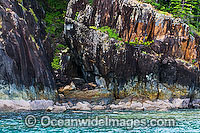 Spectacular rocky coastline during low tide at Hook Island, Whitsunday Islands, Queensland, Australia