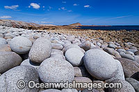 Egg Beach Coastal Reserve, comprising of coastal granite boulders that have been worn round by pounding surf. Flinders Island, Tasmania, Australia