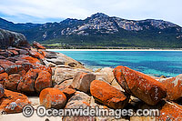 Trousers Point Beach, with lichen (Caloplaca sp.) covered granite boulders in foregound and Strezlecki National Park granite peaks in background. Flinders Island, Tasmania, Australia
