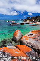 Sawyers Bay, an extensive lichen (Caloplaca sp.) covered granite boulder coastline. Flinders Island, Tasmania, Australia