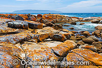 Holloway Point, an extensive lichen (Caloplaca sp.) covered granite boulder coastline, with Sister Island in distant background. Flinders Island, Tasmania, Australia