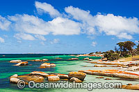 Sawyers Bay Beach, an extensive lichen (Caloplaca sp.) covered granite boulder coastline. Flinders Island, Tasmania, Australia