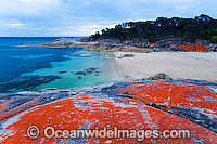 Trousers Point Cove, showing extensive lichen (Caloplaca sp.) covered granite boulder coastline. Flinders Island, Tasmania, Australia