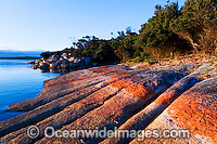 Yellow Beach, showing extensive lichen (Caloplaca sp.) covered granite boulder coastline. Flinders Island, Tasmania, Australia