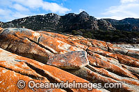 Trousers Point, with lichen (Caloplaca sp.) covered granite boulders in foregound and Strezlecki National Park granite peaks in background. Flinders Island, Tasmania, Australia