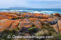 Holloway Point, an extensive lichen (Caloplaca sp.) covered granite boulder coastline, with Sister Island surrounded by early moring fog in distant background. Flinders Island, Tasmania, Australia