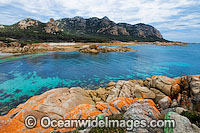 The Dock, an extensive lichen (Caloplaca sp.) covered granite boulder coastline, with Mount Killiecrankie in distant background. Flinders Island, Tasmania, Australia