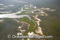 Aerial view of coastal mangrove wetland, situated close to Curtis Island, Gladstone, Queensland, Australia.