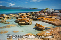 Lichen covered granite boulder coastline, showing Diamond Island. Bicheno, Tasmania, Australia.