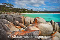 Lichen covered granite boulder coastline. Bay of Fires, Tasmania, Australia.