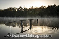 Morning mist over Wallaga Lake, near Bermagui, New South Wales, Australia.