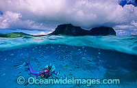 Half under and half over water picture of Scuba Diver hand feeding tropical fish. Lord Howe Island lagoon, Lord Howe Island, South Pacific, Australia