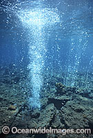 Underwater volcanic vent extruding gases in a stream of bubbles. Milne Bay, Papua New Guinea.