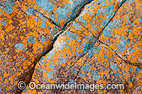 Beach rock covered in Lichen. Hayman Island, Whitsunday Islands, Queensland, Australia