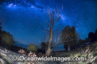 Stars of the night sky, photographed during a frost near Uralla, Northern Tablelands, New South Wales, Australia.