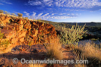 Trephina Gorge. MacDonnell Ranges, Central Australia