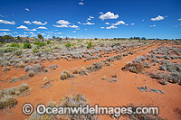 Desert track in the outback. Photo taken near Broken Hill, New South Wales, Australia.