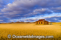 Historic and abandoned farm house, resting in a wheat field situated near Burra, South Australia, Australia.