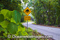 Driver warning sign on road side, slow down and drive around Robber Crabs or Coconut Crabs (Birgus latro). Christmas Island, Indian Ocean, Australia.