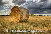 Storm approaching a harvested stubble field dotted with straw bales during sunset, Nagambie, country Victoria, Australia.