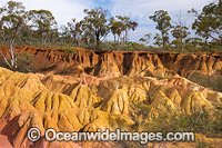 Pink Cliffs Geological Reserve. This historic site was used for hydraulic sluicing operations for the retrieval of gold from the late 1870s through the 1880s. Situated near Heathcote, Victoria, Australia.