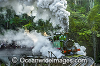 The historic Puffing Billy crossing Belgrave Bridge, situated in the Dandenong Ranges near Melbourne, Victoria, Australia.