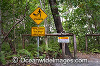 Marine Stinger (Box Jellyfish) Warning sign, Cape Tribulation, Far North Queensland, Australia.