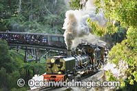 The historic Puffing Billy crossing Belgrave Bridge, situated in the Dandenong Ranges near Melbourne, Victoria, Australia.