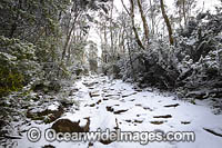 Zig Zag Track covered in snow. Mount Wellington, Tasmania, Australia.