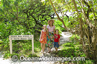 Children with parent, exploring a tropical pisonia tree rainforest on Heron Island, situated on the Great Barrier Reef, Queensland, Australia.