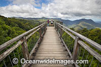 Elevated Rainforest Boardwalk, Dorrigo World Heritage National Park. Dorrigo, New South Wales, Australia.