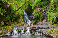 Rainforest waterfall, Elabana Falls, situated in sub-tropical rainforest. Lamington World Heritage National Park, Queensland, Australia.