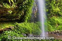 Crystal Shower Falls, situated in the Dorrigo World Heritage National Park, New South Wales, Australia.