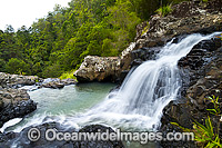 Rainforest Waterfall, situated in Sherwood Nature Reserve, Mid North Coast near Woolgoolga, New South Wales, Australia.