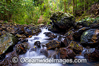 Rainforest Stream, situated in Sherwood Nature Reserve, Mid North Coast near Woolgoolga, New South Wales, Australia.
