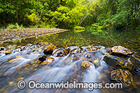 Rainforest Stream, a part of Dingo Creek, situated in the Orara Valley, west of Coffs Harbour, New South Wales, Australia.