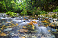 Rainforest Stream, situated on Urumbilum River in the Bindarri National Park, near Coffs Harbour, New South Wales, Australia.