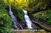 Twin Falls, situated in sub-tropical rainforest, Lamington World Heritage National Park, Queensland, Australia.